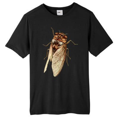 Cicada 2024 Tall Fusion ChromaSoft Performance T-Shirt