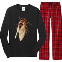 Cicada 2024 Long Sleeve Pajama Set