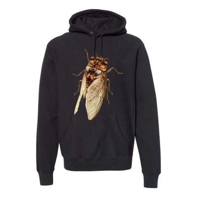 Cicada 2024 Premium Hoodie