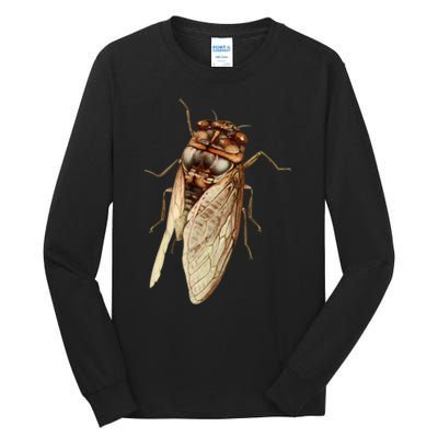 Cicada 2024 Tall Long Sleeve T-Shirt