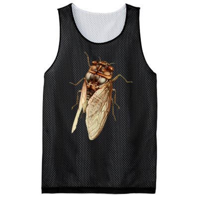 Cicada 2024 Mesh Reversible Basketball Jersey Tank