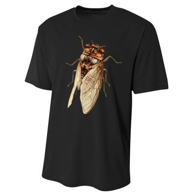 Cicada 2024 Performance Sprint T-Shirt