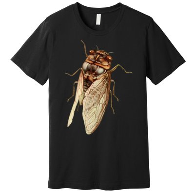 Cicada 2024 Premium T-Shirt