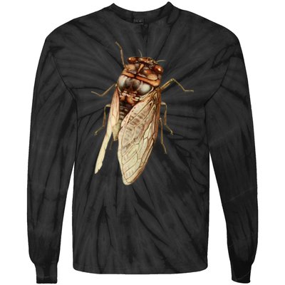 Cicada 2024 Tie-Dye Long Sleeve Shirt