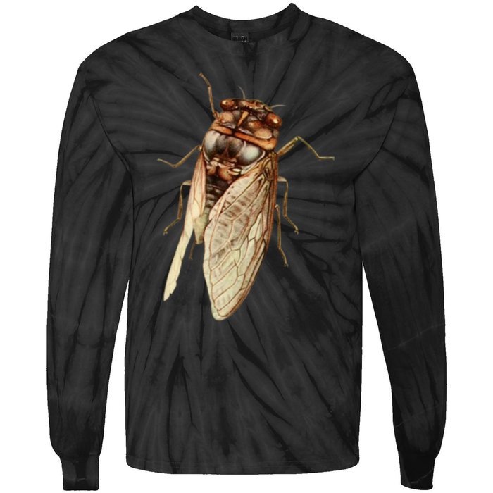 Cicada 2024 Tie-Dye Long Sleeve Shirt