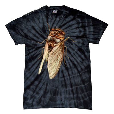 Cicada 2024 Tie-Dye T-Shirt