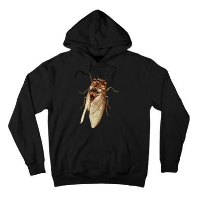 Cicada 2024 Tall Hoodie