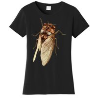 Cicada 2024 Women's T-Shirt