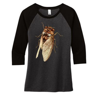 Cicada 2024 Women's Tri-Blend 3/4-Sleeve Raglan Shirt