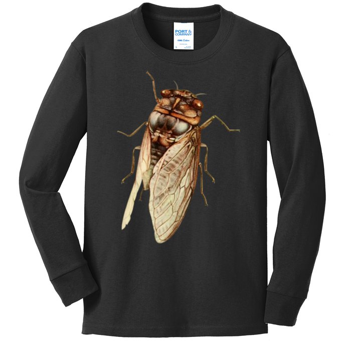 Cicada 2024 Kids Long Sleeve Shirt