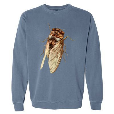 Cicada 2024 Garment-Dyed Sweatshirt