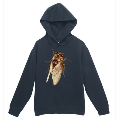 Cicada 2024 Urban Pullover Hoodie