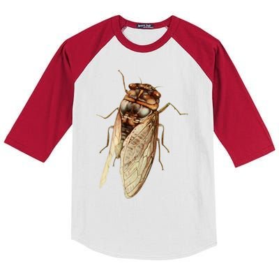 Cicada 2024 Kids Colorblock Raglan Jersey