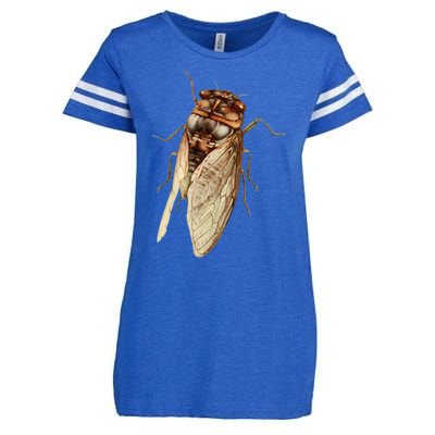 Cicada 2024 Enza Ladies Jersey Football T-Shirt