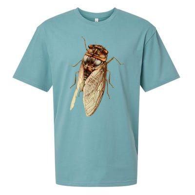 Cicada 2024 Sueded Cloud Jersey T-Shirt