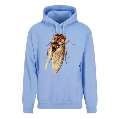 Cicada 2024 Unisex Surf Hoodie