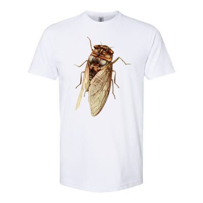 Cicada 2024 Softstyle CVC T-Shirt