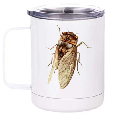 Cicada 2024 12 oz Stainless Steel Tumbler Cup