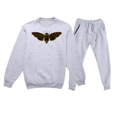 Cicada 2024 Premium Crewneck Sweatsuit Set