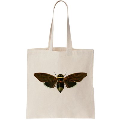 Cicada 2024 Tote Bag