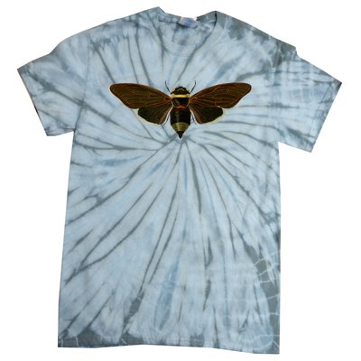 Cicada 2024 Tie-Dye T-Shirt