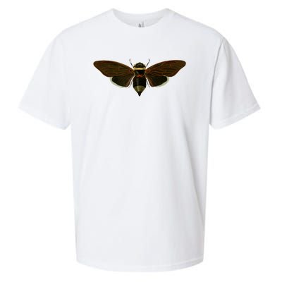 Cicada 2024 Sueded Cloud Jersey T-Shirt