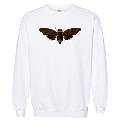 Cicada 2024 Garment-Dyed Sweatshirt