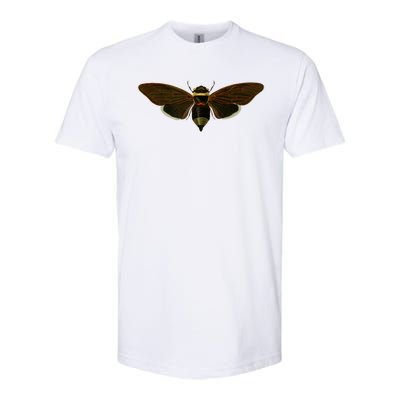 Cicada 2024 Softstyle® CVC T-Shirt