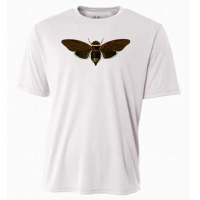 Cicada 2024 Cooling Performance Crew T-Shirt