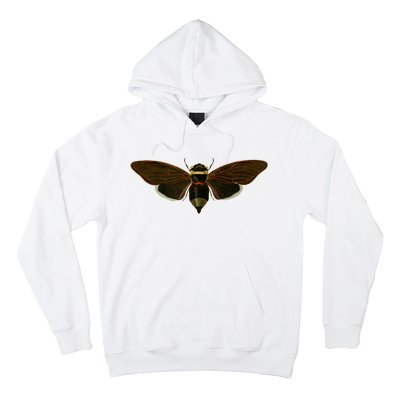 Cicada 2024 Hoodie