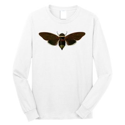 Cicada 2024 Long Sleeve Shirt