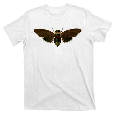 Cicada 2024 T-Shirt