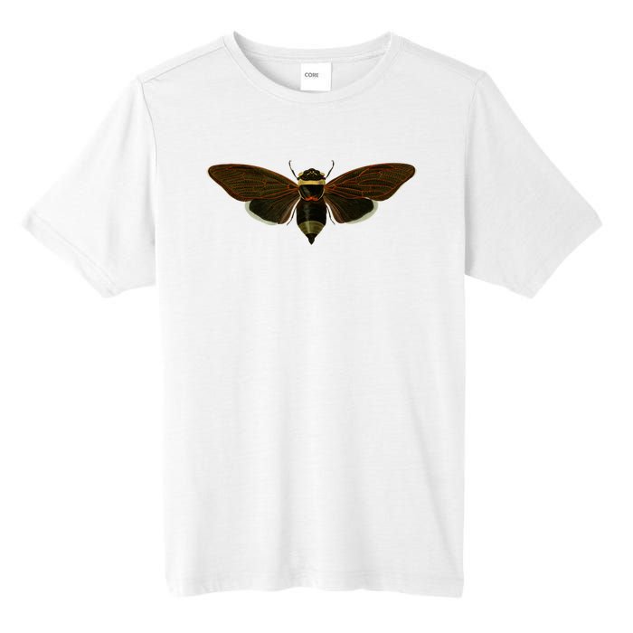 Cicada 2024 Tall Fusion ChromaSoft Performance T-Shirt