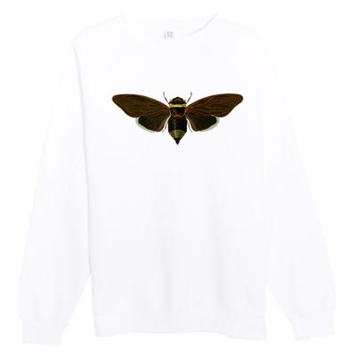 Cicada 2024 Premium Crewneck Sweatshirt