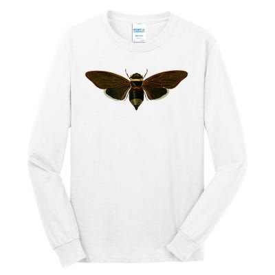 Cicada 2024 Tall Long Sleeve T-Shirt