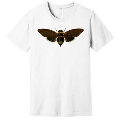 Cicada 2024 Premium T-Shirt