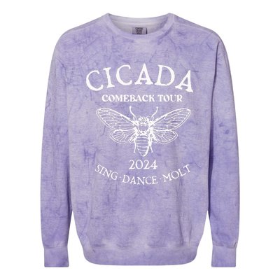 Cicada 2024 Cicada Reunion Funny Cicada Concert Colorblast Crewneck Sweatshirt