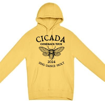 Cicada 2024 Cicada Reunion Funny Cicada Concert Premium Pullover Hoodie