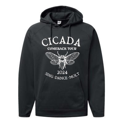 Cicada 2024 Cicada Reunion Funny Cicada Concert Performance Fleece Hoodie