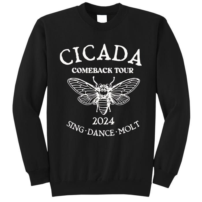 Cicada 2024 Cicada Reunion Funny Cicada Concert Sweatshirt