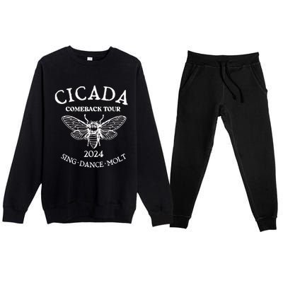 Cicada 2024 Cicada Reunion Funny Cicada Concert Premium Crewneck Sweatsuit Set