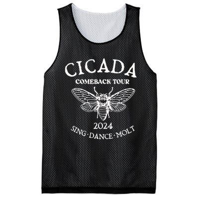 Cicada 2024 Cicada Reunion Funny Cicada Concert Mesh Reversible Basketball Jersey Tank