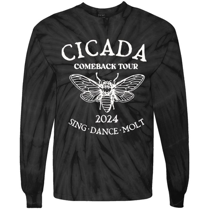 Cicada 2024 Cicada Reunion Funny Cicada Concert Tie-Dye Long Sleeve Shirt