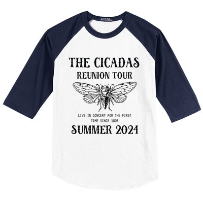 Cicada 2024 Cicada Reunion Funny Cicada Concert Baseball Sleeve Shirt