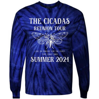 Cicada 2024 Cicada Reunion Funny Cicada Concert Tie-Dye Long Sleeve Shirt