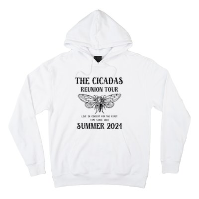 Cicada 2024 Cicada Reunion Funny Cicada Concert Hoodie