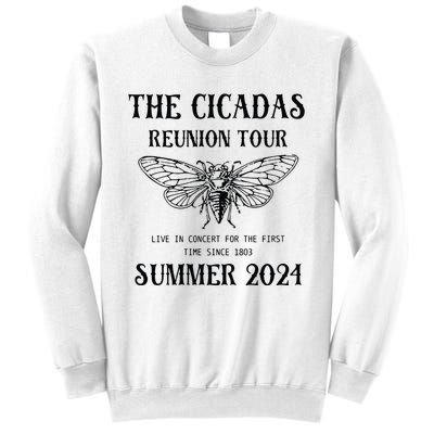 Cicada 2024 Cicada Reunion Funny Cicada Concert Sweatshirt