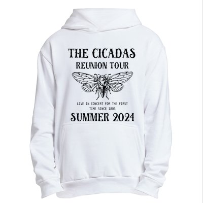 Cicada 2024 Cicada Reunion Funny Cicada Concert Urban Pullover Hoodie