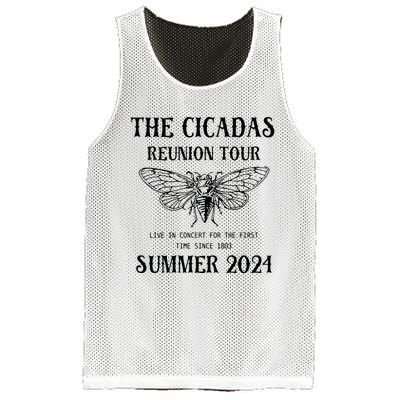 Cicada 2024 Cicada Reunion Funny Cicada Concert Mesh Reversible Basketball Jersey Tank