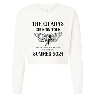 Cicada 2024 Cicada Reunion Funny Cicada Concert Cropped Pullover Crew